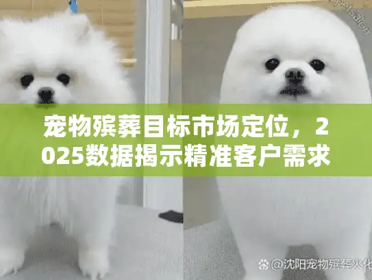 宠物殡葬目标市场定位，2025数据揭示精准客户需求何在？