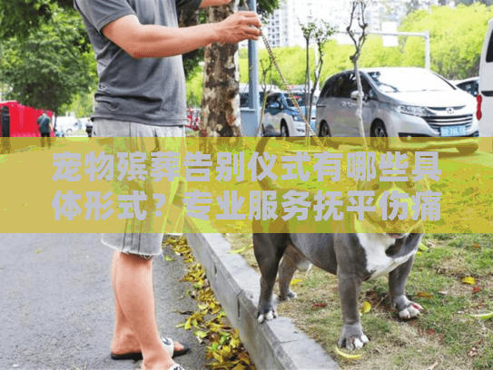 宠物殡葬告别仪式有哪些具体形式？专业服务抚平伤痛