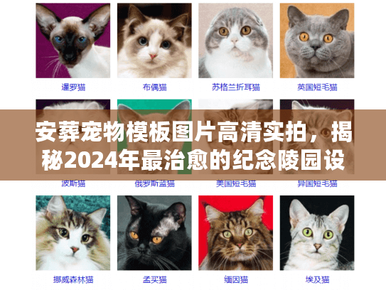 安葬宠物模板图片高清实拍，揭秘2024年最治愈的纪念陵园设计