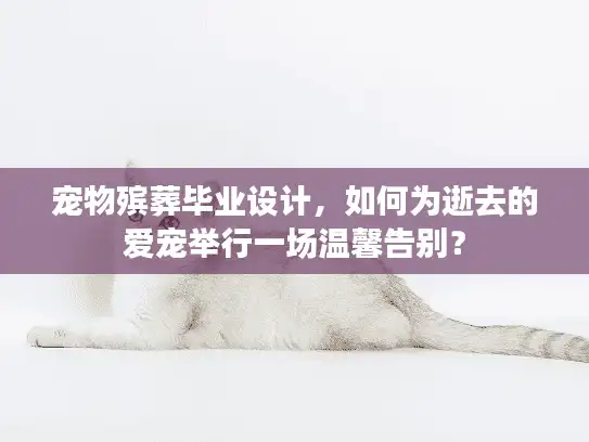 宠物殡葬毕业设计,如何为逝去的爱宠举行一场温馨告别? 宠物殡葬毕业设计,如何为逝去的爱宠举行一场温馨告别?
