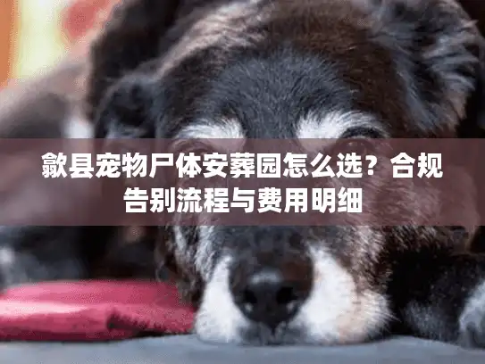 歙县宠物尸体安葬园怎么选？合规告别流程与费用明细