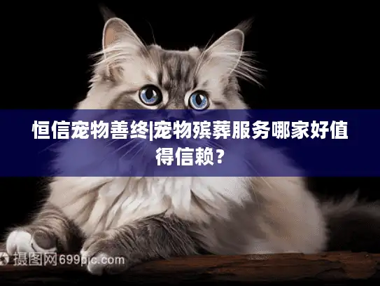恒信宠物善终|宠物殡葬服务哪家好值得信赖？