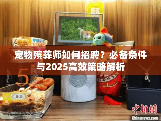 宠物殡葬师如何招聘？必备条件与2025高效策略解析