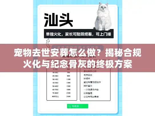宠物去世安葬怎么做?揭秘合规火化与纪念骨灰的终极方案 宠物去世安葬怎么做?揭秘合规火化与纪念骨灰的终极方案