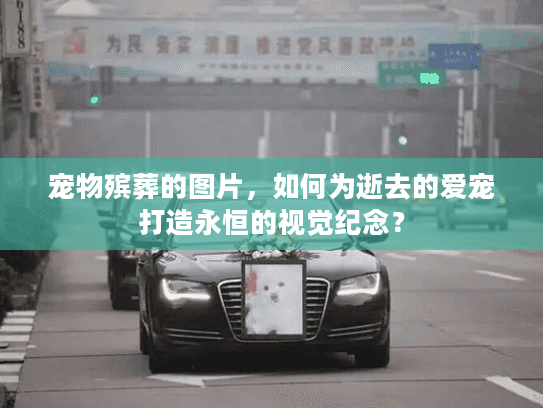 宠物殡葬的图片,如何为逝去的爱宠打造永恒的视觉纪念? 宠物殡葬的图片,如何为逝去的爱宠打造永恒的视觉纪念?