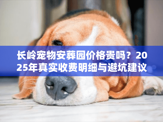 长岭宠物安葬园价格贵吗？2025年真实收费明细与避坑建议