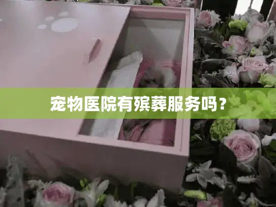 宠物医院有殡葬服务吗? 宠物医院有殡葬服务吗?