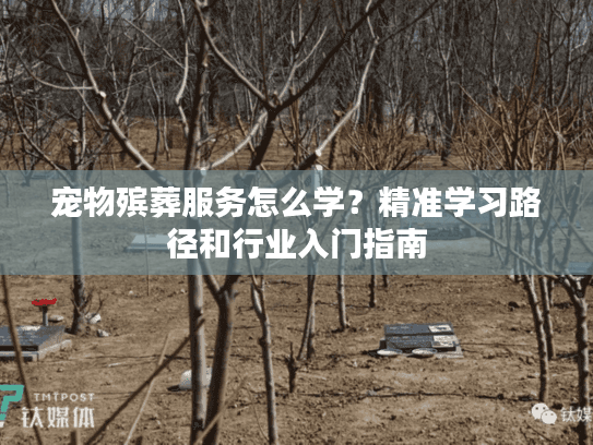 宠物殡葬服务怎么学？精准学习路径和行业入门指南
