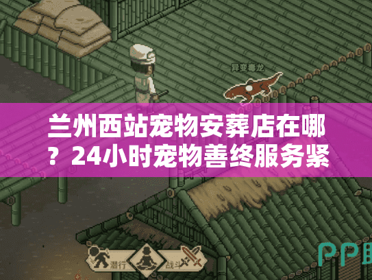 兰州西站宠物安葬店在哪？24小时宠物善终服务紧急对接