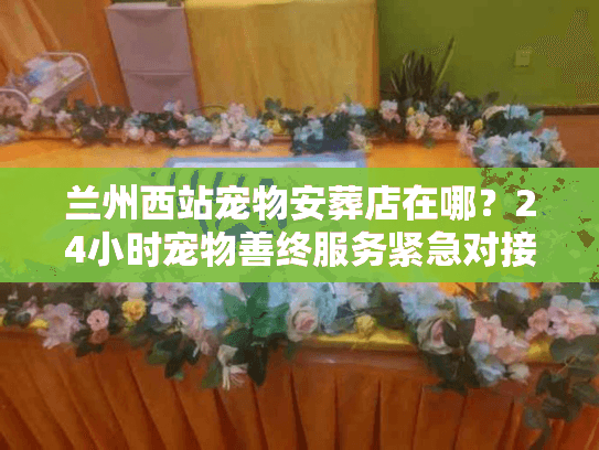 兰州西站宠物安葬店在哪？24小时宠物善终服务紧急对接