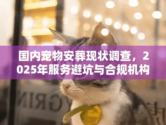 国内宠物安葬现状调查，2025年服务避坑与合规机构鉴别