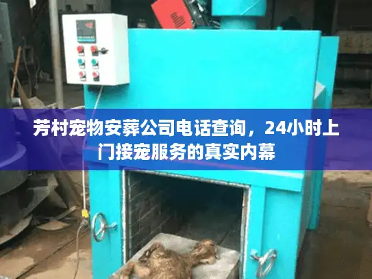 芳村宠物安葬公司电话查询，24小时上门接宠服务的真实内幕