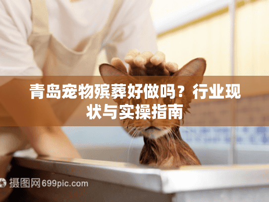 青岛宠物殡葬好做吗？行业现状与实操指南