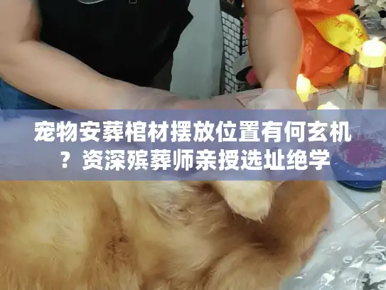 宠物安葬棺材摆放位置有何玄机？资深殡葬师亲授选址绝学