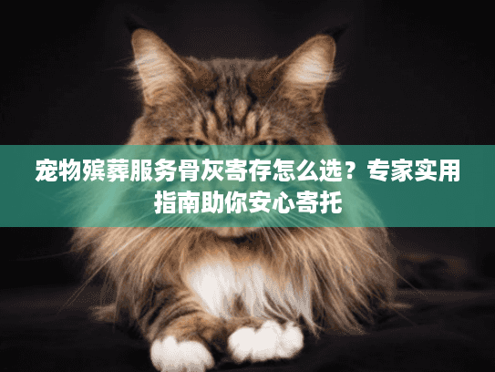 宠物殡葬服务骨灰寄存怎么选?专家实用指南助你安心寄托 宠物殡葬服务骨灰寄存怎么选?专家实用指南助你安心寄托