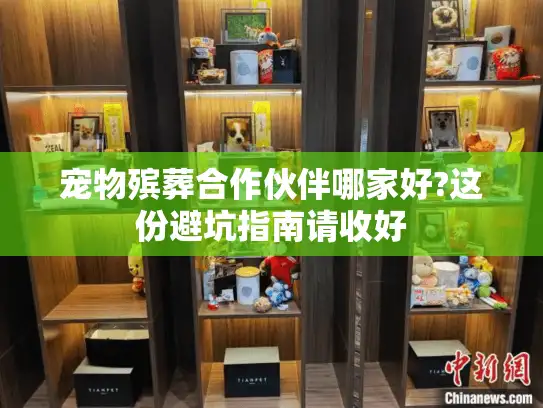 宠物殡葬合作伙伴哪家好?这份避坑指南请收好
