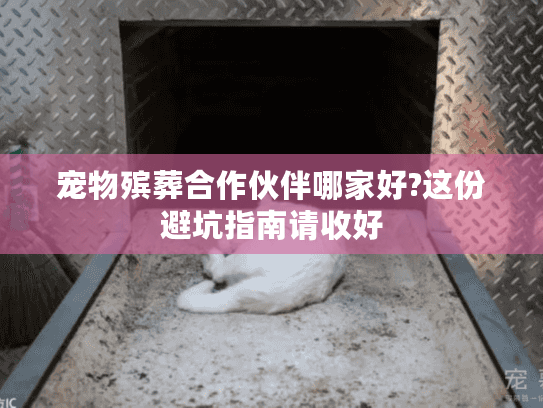 宠物殡葬合作伙伴哪家好?这份避坑指南请收好