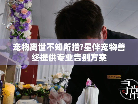 宠物离世不知所措?星伴宠物善终提供专业告别方案 宠物离世不知所措?星伴宠物善终提供专业告别方案