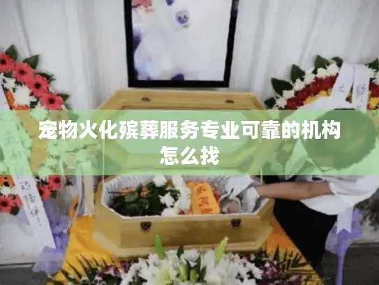 宠物火化殡葬服务专业可靠的机构怎么找