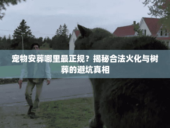 宠物安葬哪里最正规？揭秘合法火化与树葬的避坑真相