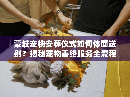 蒙城宠物安葬仪式如何体面送别？揭秘宠物善终服务全流程