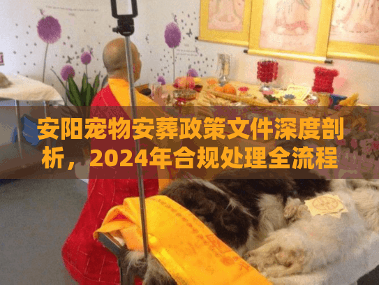 安阳宠物安葬政策文件深度剖析，2024年合规处理全流程