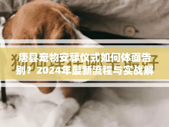 唐县宠物安葬仪式如何体面告别？2024年最新流程与实战解析