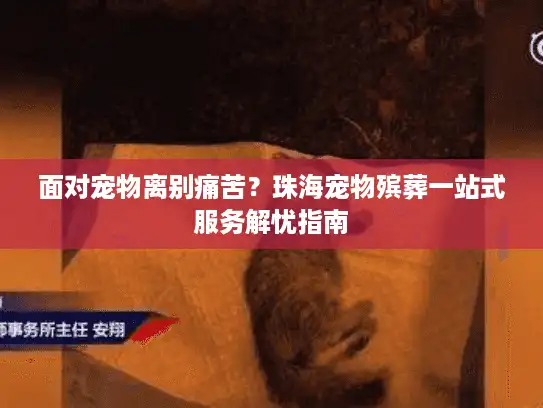 面对宠物离别痛苦？珠海宠物殡葬一站式服务解忧指南