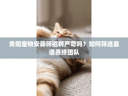 贵阳宠物安葬师招聘严苛吗？如何筛选靠谱善终团队
