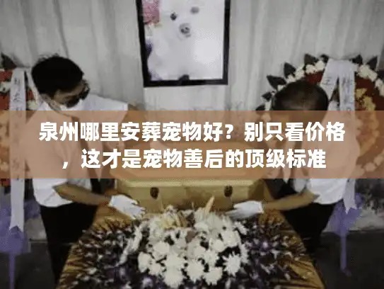 泉州哪里安葬宠物好？别只看价格，这才是宠物善后的顶级标准