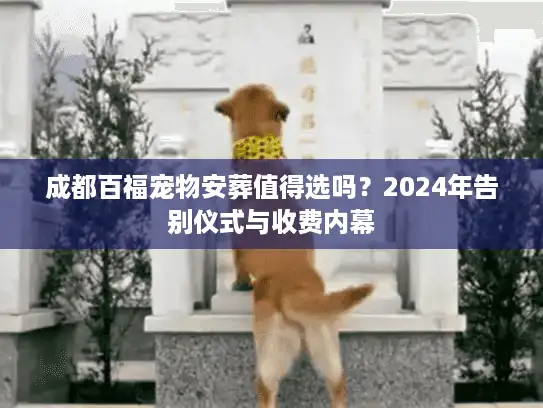 成都百福宠物安葬值得选吗?2024年告别仪式与收费内幕 成都百福宠物安葬值得选吗?2024年告别仪式与收费内幕