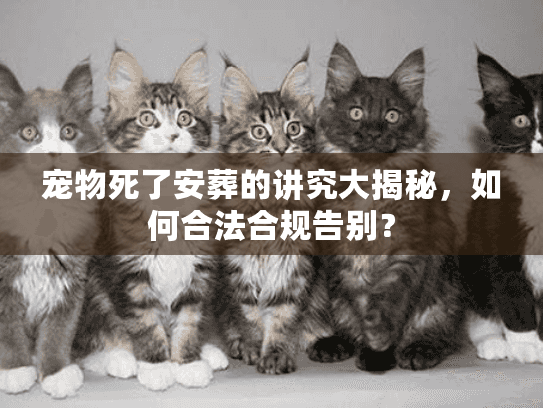 宠物死了安葬的讲究大揭秘，如何合法合规告别？