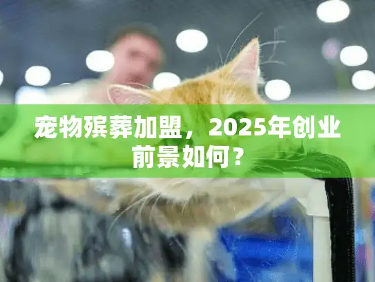 宠物殡葬加盟,2025年创业前景如何? 宠物殡葬加盟,2025年创业前景如何?