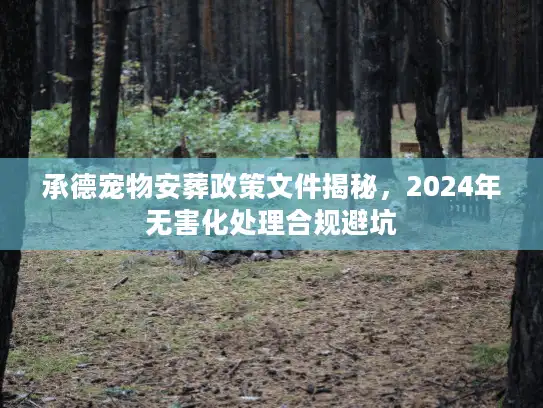 承德宠物安葬政策文件揭秘，2024年无害化处理合规避坑