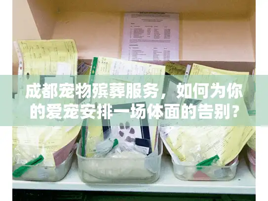 成都宠物殡葬服务，如何为你的爱宠安排一场体面的告别？