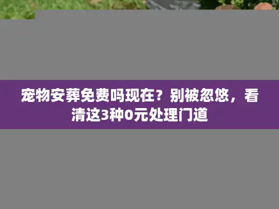 宠物安葬免费吗现在?别被忽悠,看清这3种0元处理门道 宠物安葬免费吗现在?别被忽悠,看清这3种0元处理门道