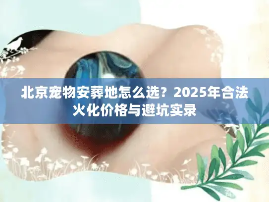 北京宠物安葬地怎么选？2025年合法火化价格与避坑实录