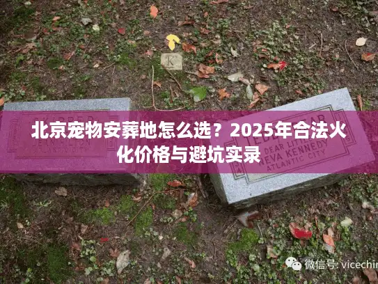 北京宠物安葬地怎么选？2025年合法火化价格与避坑实录