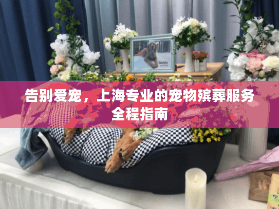 告别爱宠,上海专业的宠物殡葬服务全程指南 告别爱宠,上海专业的宠物殡葬服务全程指南
