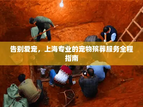 告别爱宠,上海专业的宠物殡葬服务全程指南 告别爱宠,上海专业的宠物殡葬服务全程指南