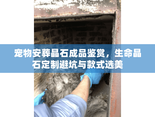 宠物安葬晶石成品鉴赏,生命晶石定制避坑与款式选美 宠物安葬晶石成品鉴赏,生命晶石定制避坑与款式选美