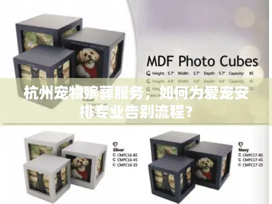 杭州宠物殡葬服务,如何为爱宠安排专业告别流程? 杭州宠物殡葬服务,如何为爱宠安排专业告别流程?