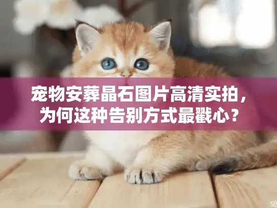 宠物安葬晶石图片高清实拍,为何这种告别方式最戳心? 宠物安葬晶石图片高清实拍,为何这种告别方式最戳心?