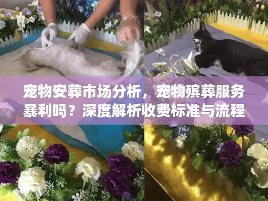 宠物安葬市场分析,宠物殡葬服务暴利吗?深度解析收费标准与流程 宠物安葬市场分析,宠物殡葬服务暴利吗?深度解析收费标准与流程