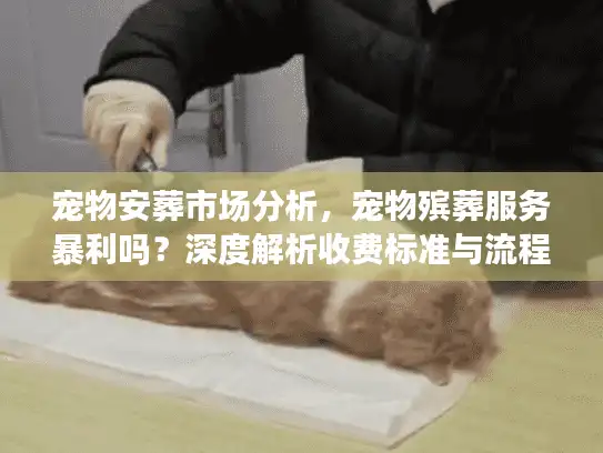 宠物安葬市场分析,宠物殡葬服务暴利吗?深度解析收费标准与流程 宠物安葬市场分析,宠物殡葬服务暴利吗?深度解析收费标准与流程