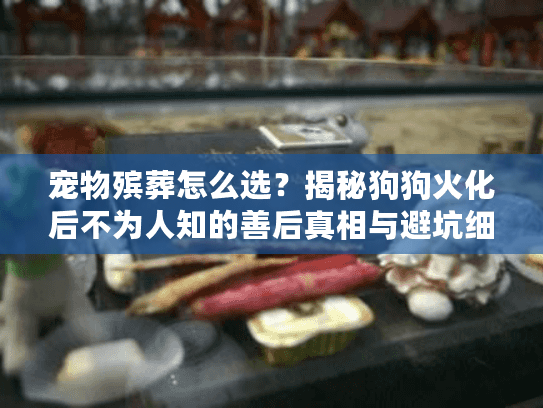 宠物殡葬怎么选？揭秘狗狗火化后不为人知的善后真相与避坑细节