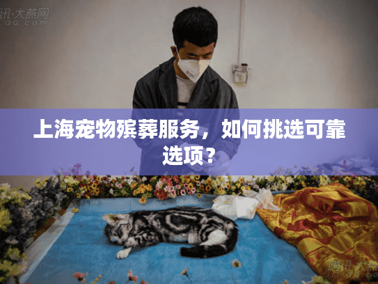 上海宠物殡葬服务，如何挑选可靠选项？