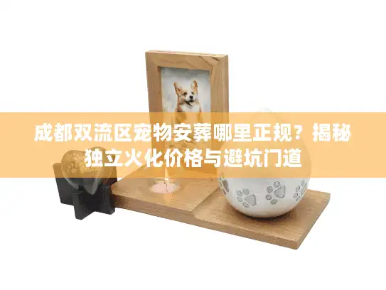 成都双流区宠物安葬哪里正规？揭秘独立火化价格与避坑门道
