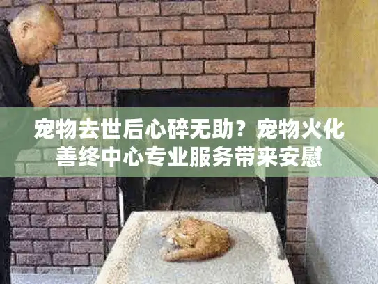 宠物去世后心碎无助?宠物火化善终中心专业服务带来安慰 宠物去世后心碎无助?宠物火化善终中心专业服务带来安慰