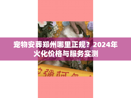 宠物安葬郑州哪里正规？2024年火化价格与服务实测